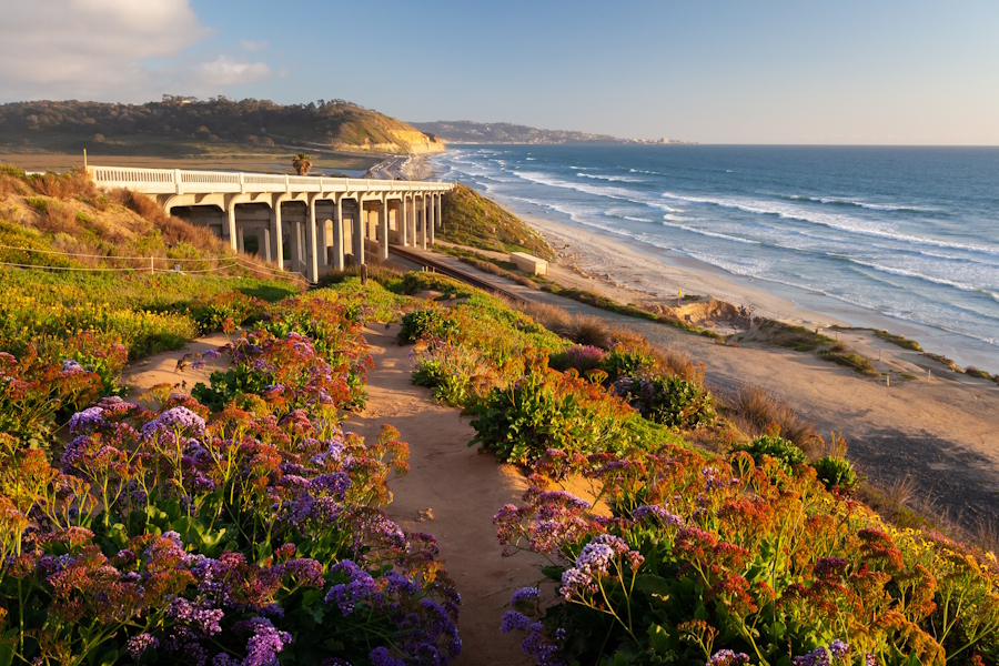Torrey Pines State Beach, San Diego