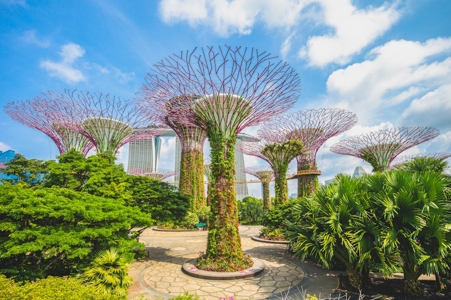 Landscape of Gardens by the Bay in Singapore