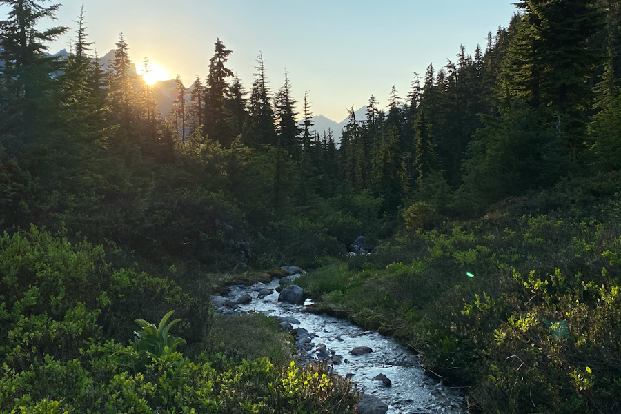 A creek runs through a valley in the mountains near Bellingham, Washington (photo by Aaron Bishop via Unsplash)