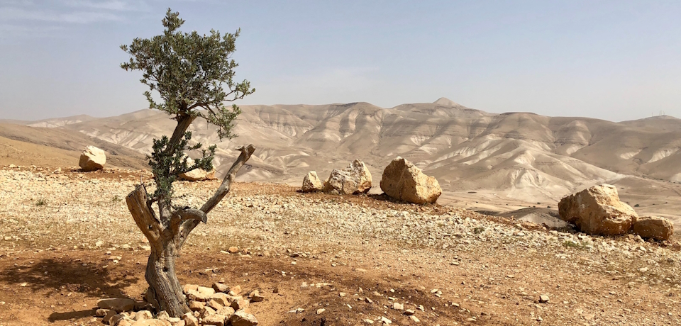 Desert