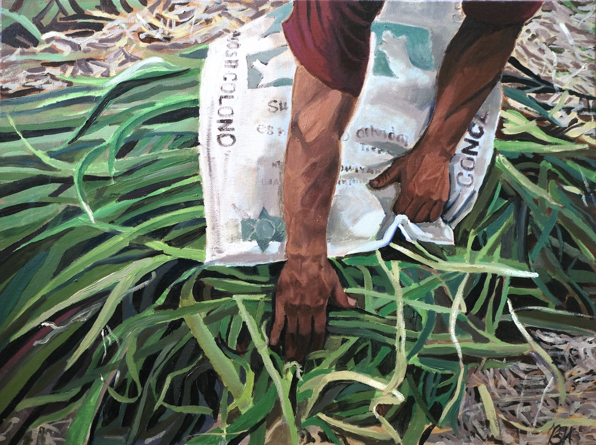 Bayley Hindmarsh 3