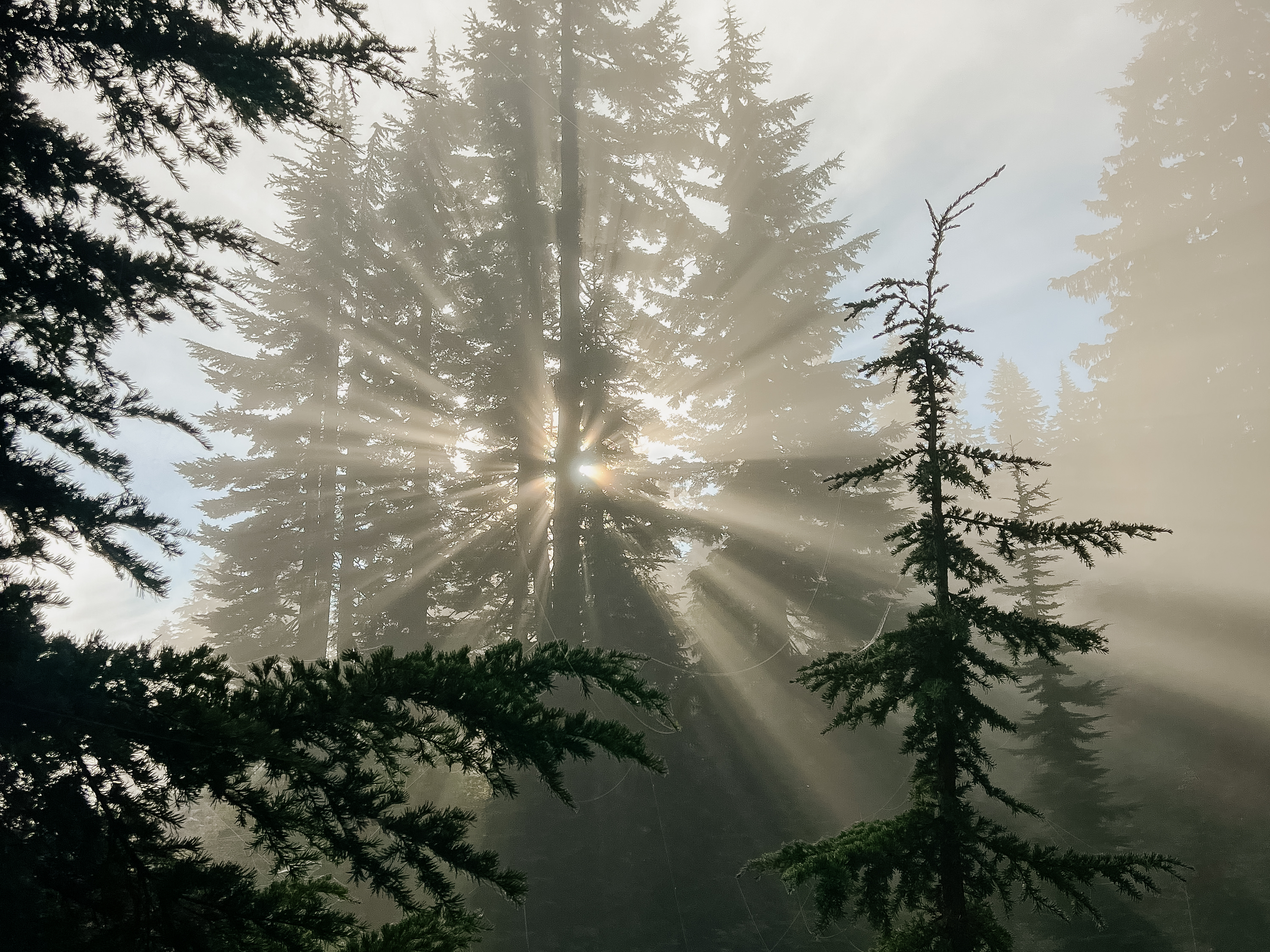 Photo by Genevive Walker